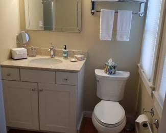 Updated bath vanity; mirror; vanity lights; hotel towel rack