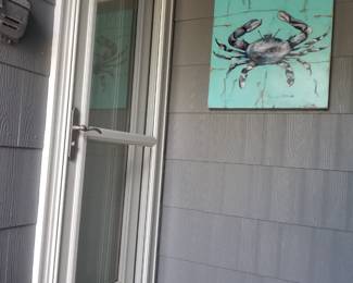Full light entry door; storm door