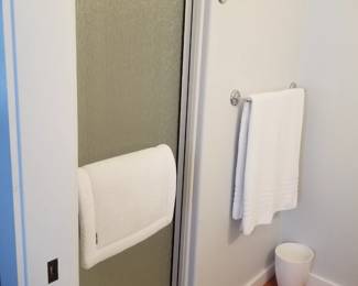 Glass shower door