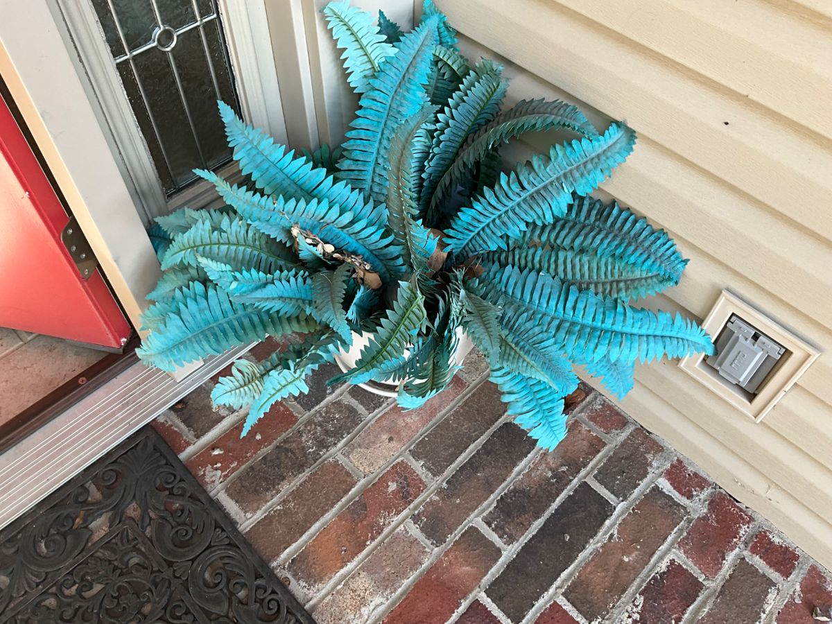 Artificial plant at entrance
