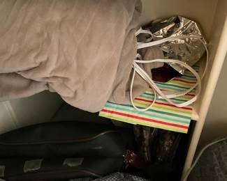 Closet items in main hallway bathroom