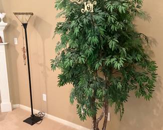 Tree in living room