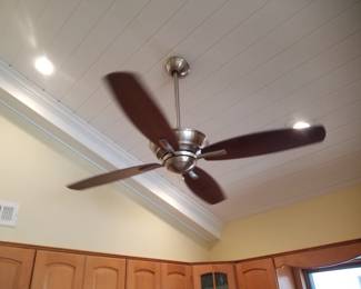 Ceiling fan