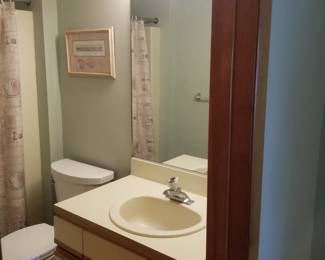 Bath vanity; vanity mirror; vanity lights