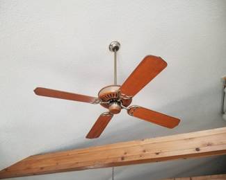 Ceiling fan