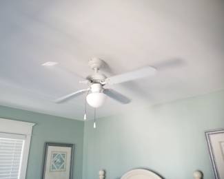 Illuminated ceiling fan