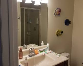Bath vanity; vanity mirror; vanity lights