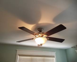 Illuminated ceiling fan