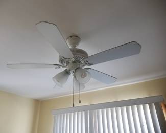 Illuminated ceiling fan