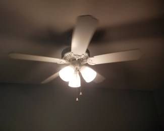 Illuminated ceiling fan