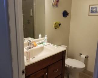 Bath vanity; vanity mirror; vanity lights