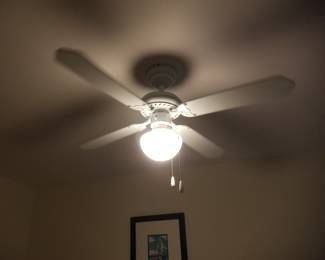 Illuminated ceiling fan