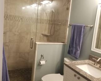 Glass shower door & fixed panel