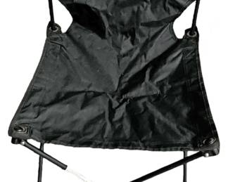 Folding Camp Chair wCarry Bag