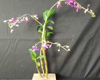 Signed and dated Takis Nobile Dendrobium. Lot # 287