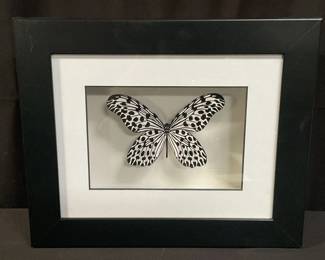 Pencil signed Jennifer Isabeau Ivory. Lot # 154