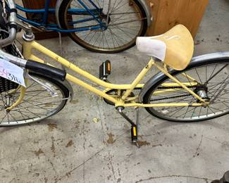Schwinn Bike