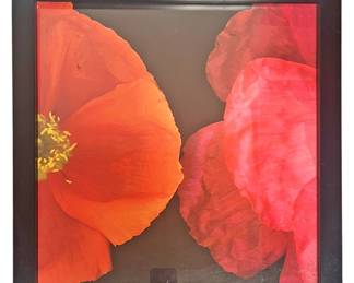 Bold Floral CloseUp Framed Print