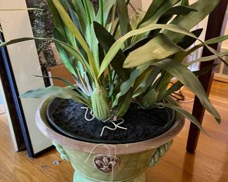 We have so many wonderful planters, pottery, concrete, ceramic!
