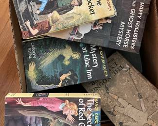 BOOKS!  Nancy Drew originals, and second series, Horatio Alger, Jr and The Bobsey Twins!  Amazing pieces of your youth!