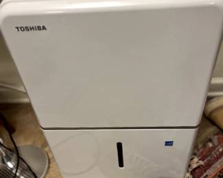 Toshiba Dehumidifier...works great!