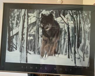Large Wolf Framed Print
