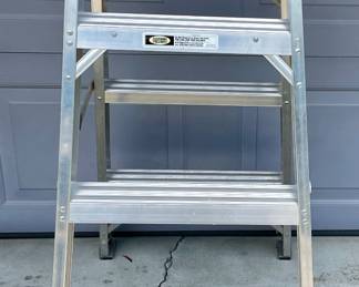 WERNER 4’ 2-SIDED LADDER