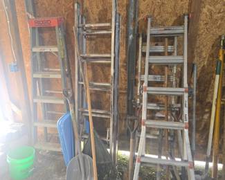 Ladders including little giant