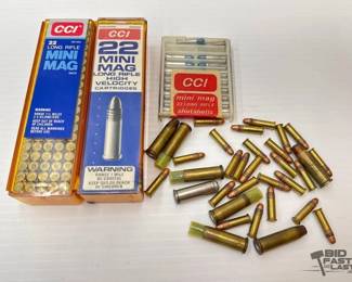 708  227 Rounds of .22 and 8 Rounds of .38spl 