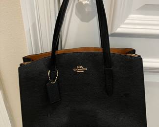90	$150.00 	Coach Carryall Bag
