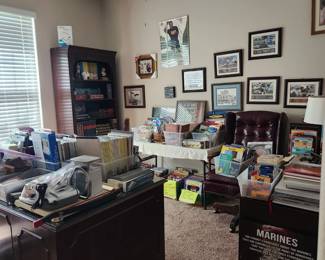 Room view office