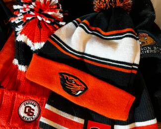 Beaver beanies