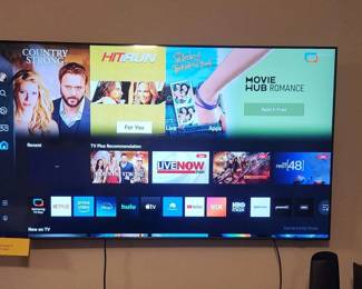 65" Samsung TV