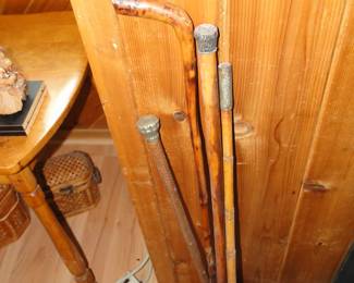 Walking sticks