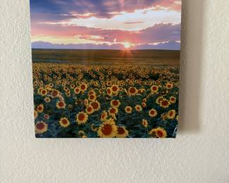 Photograph of a beautiful Kansas sunset with sunflower field. 
