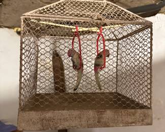 Birdcage