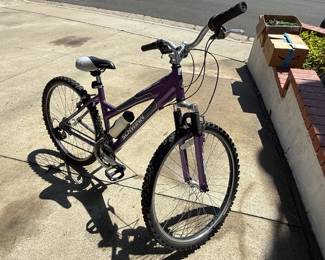 Schwinn bike
