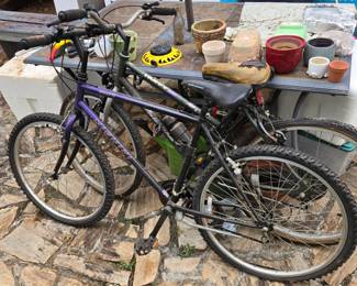 Men's Nishiki & Women's Huffy