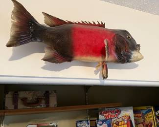 Taxidermy bass