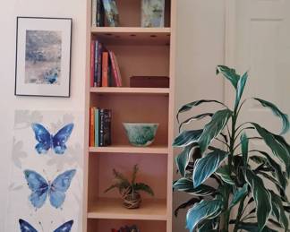 JH161Bookcase And Pictures