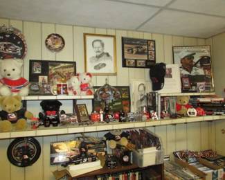 overall view of Earnhardt collection