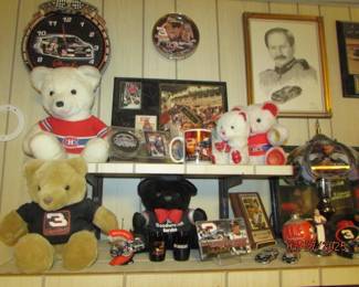 close up view of some of the Earnhardt collection