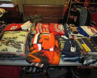 collegiate and professional teamwear and blankets