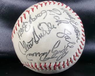Stamped Multiple Signatures Baseball