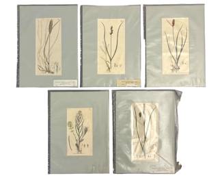 5pc. Hand-Colored Floral Etchings