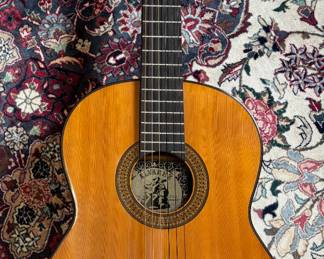 Alvarez Acoustic Guitar