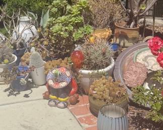 succulent pots