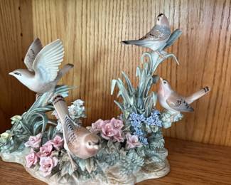 birds