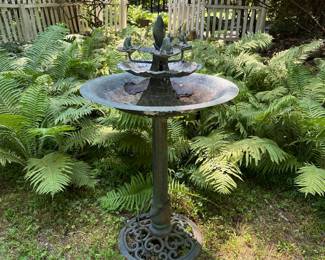 Bird Bath