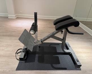 Powertec back extension machine